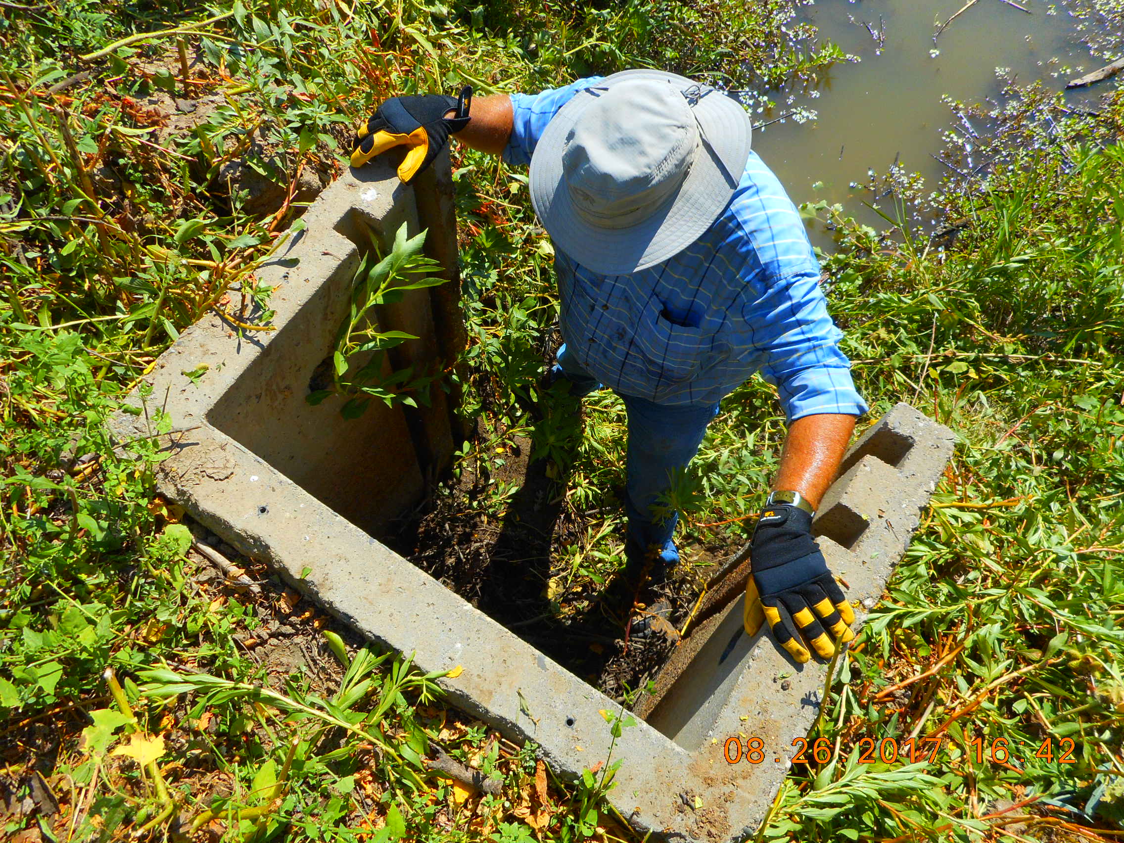 Wetland Clean Up 8-26-2017