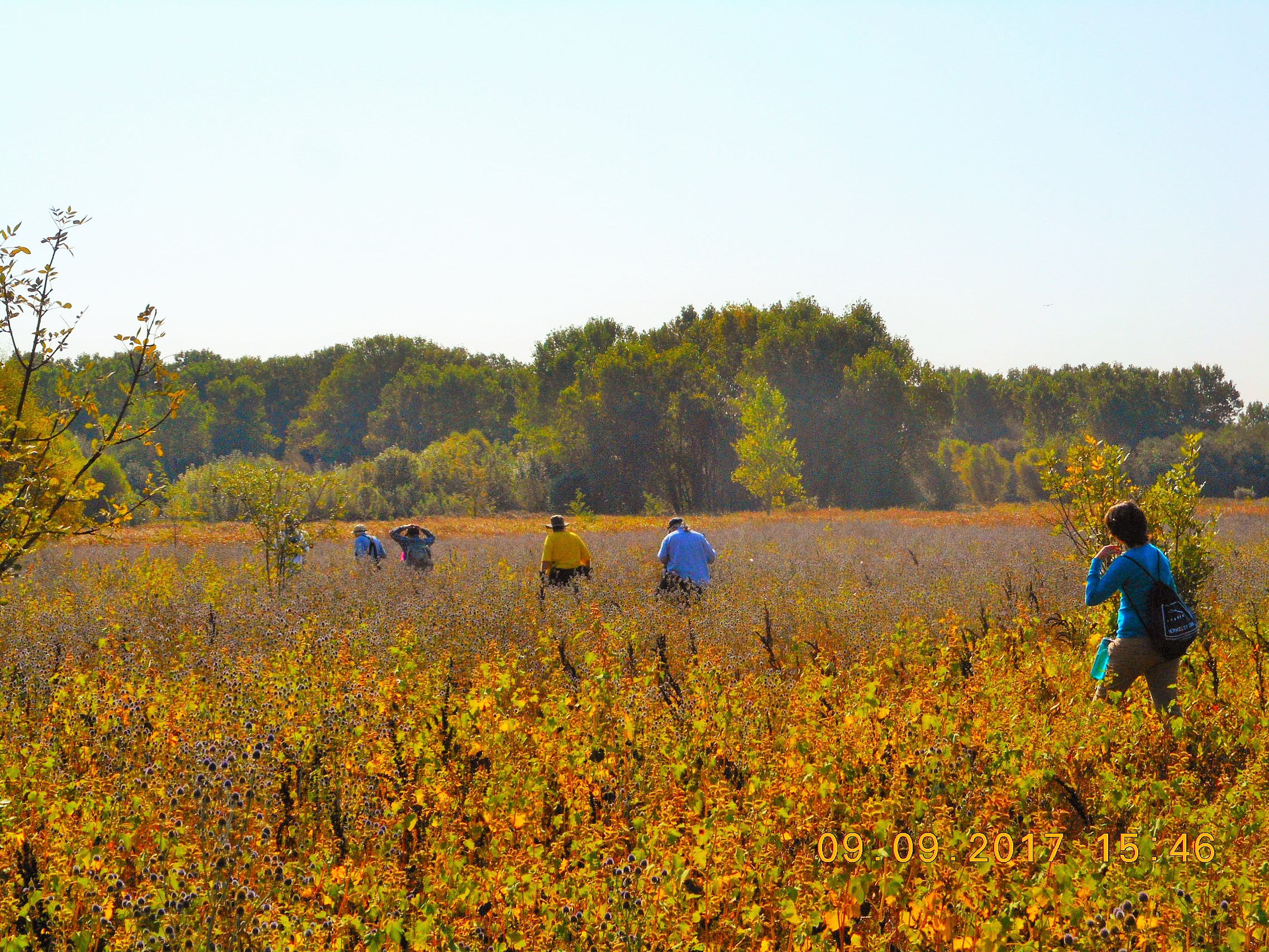 Deep in the Preserve
